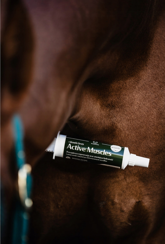 Pasta Active Muscles