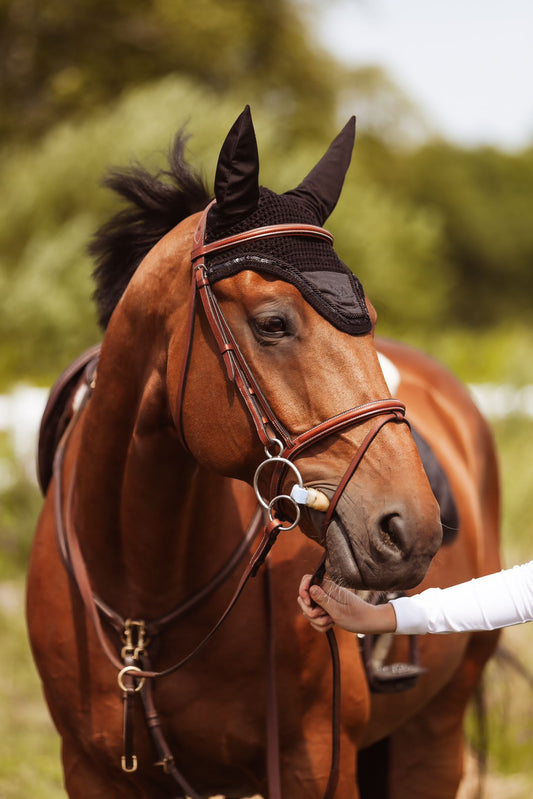 NAUSZNIKI GLOSSY TOUR