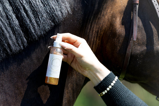 Glitter Golden Spray