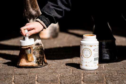 GLITTER HOOFS MC Horse Care